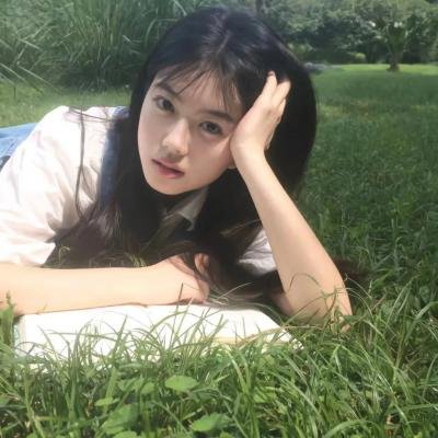老虎与妙贼